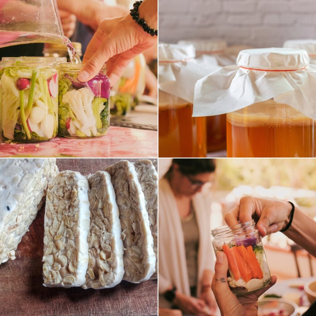 Corsi di Fermentazione - La Era Nuova