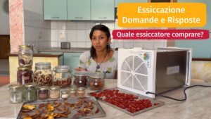 Scopri di più sull'articolo Essiccazione, tutto quello che volevi sapere!