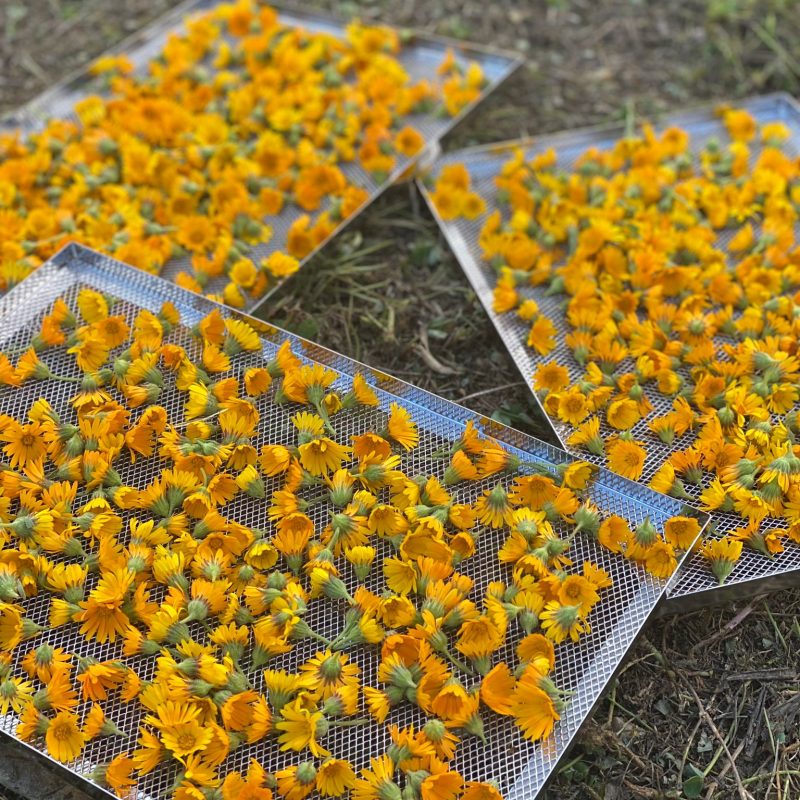 5028d297-33d2-4fa5-b851-cbc208ff459c